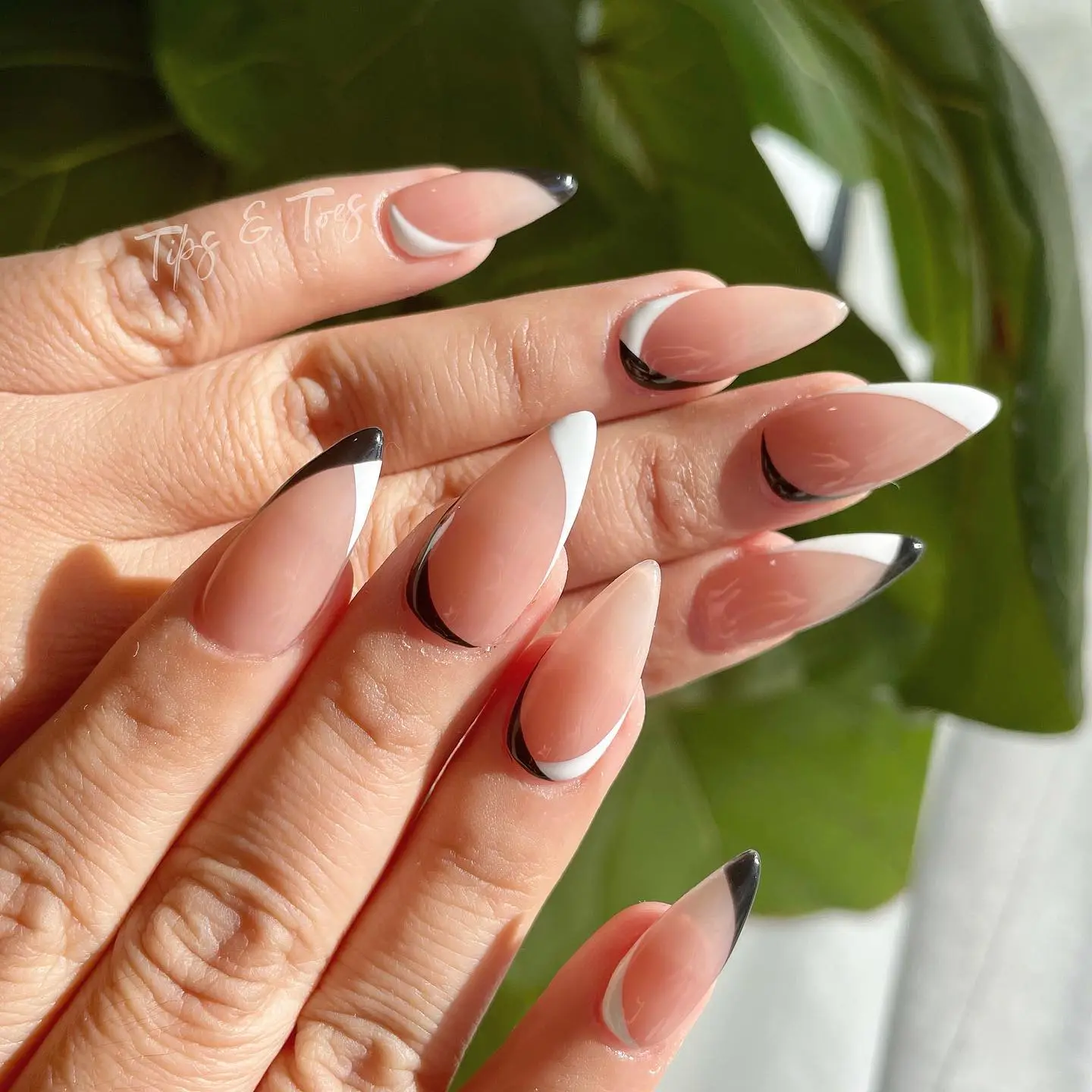 Stiletto Nails